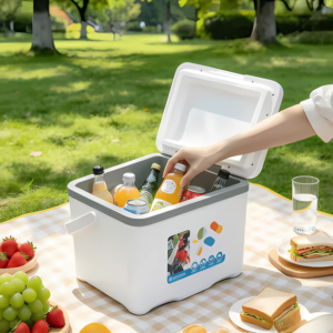 6L Portable Insulated Ice Cooler Box